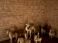 -洛阳古墓博物馆