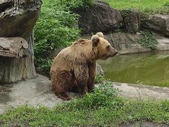 -宁波野生动物园