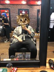 -P.STYLE 派斯造型