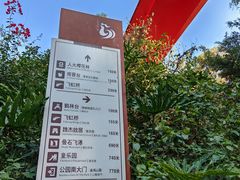 -金鸡山公园