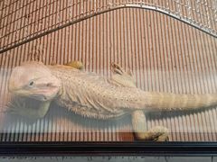 -北京华联购物中心(天通苑店)