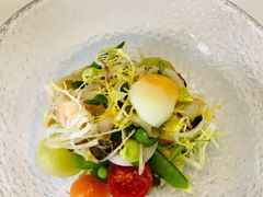 春季沙拉-蝶舍·MAISON PAPILLON