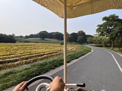 -良渚古城遗址公园