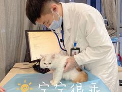 -萌兽医馆·眼科·异宠专科(三里屯店)