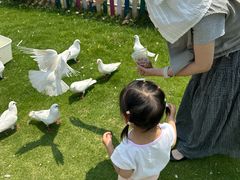 -上海佘山茂御臻品之选酒店(原佘山艾美酒店)