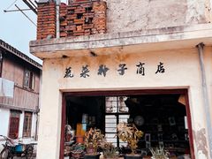 -三林塘老街