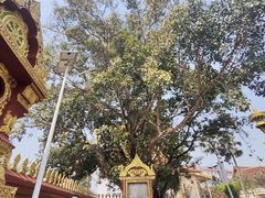 -西双版纳勐泐文化旅游区