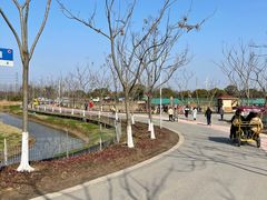 -上海长兴岛郊野公园