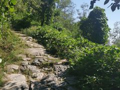 -阳台山自然风景区