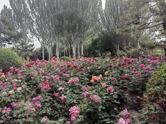 -北坞公园
