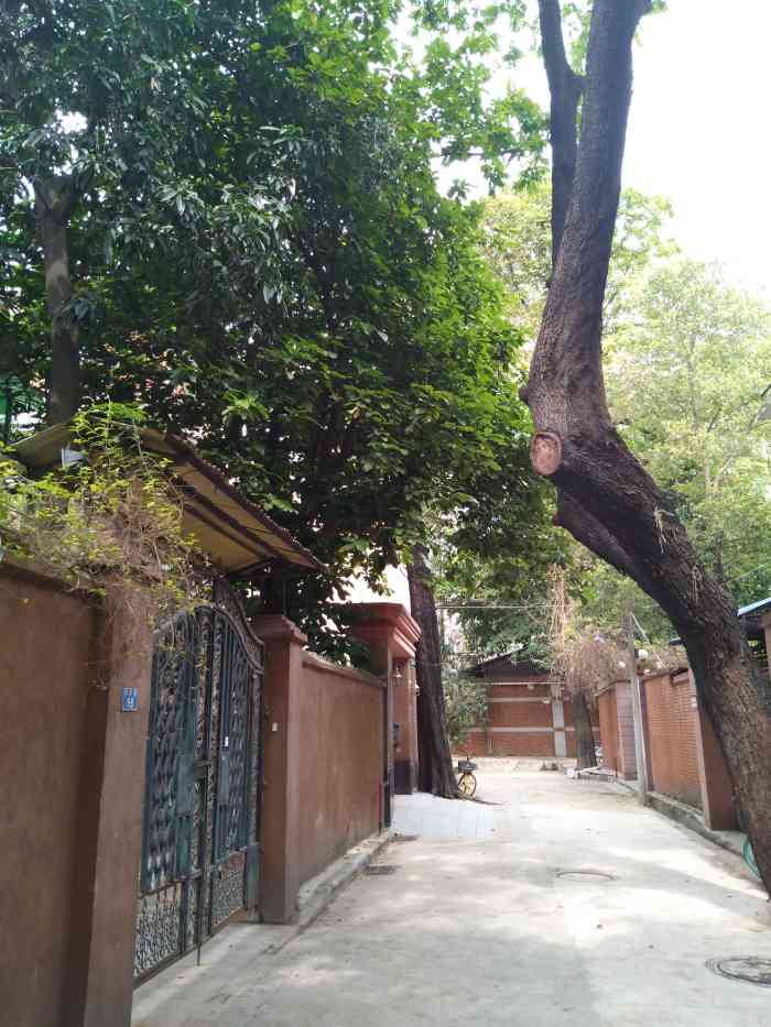 橄榄山 the hills-"东山口向来高品质的咖啡厅多,这家大概是我.