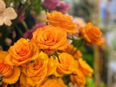 -花二家·生活馆(六运小区店)