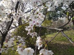 -堤角公园