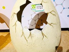 -正佳自然科学博物馆