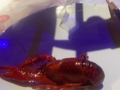 -红钳侠小龙虾·烧烤(中赢康康谷店)