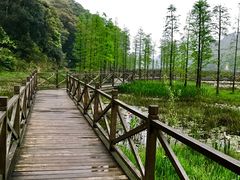 -广州市石门国家森林公园