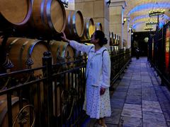 -北京张裕爱斐堡酒庄