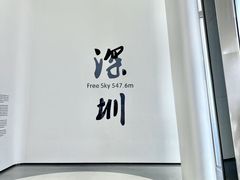 -平安金融中心云际观光层
