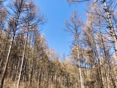 -观音阁水库风景区