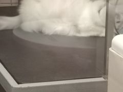 -FAELING PETS美天灵宠物(富力广场店)