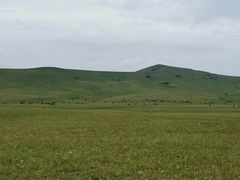 -塞罕坝国家级自然保护区