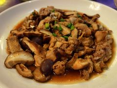 -温汤大酒店餐厅