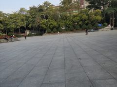 -广东省人民体育场