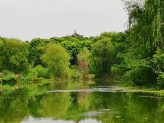 -梁鸿国家湿地公园