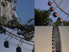 -凤岭儿童公园