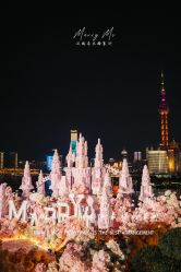 -迈瑞米求婚策划(静安店)