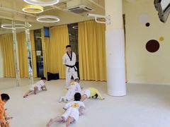 -勇气斑马·巴西柔术&跆拳道(浦东三林店)