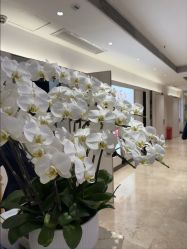 -深圳阳光医疗美容医院·旗舰店