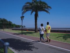 -野狸岛