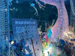 -海合安青岛极地海洋公园