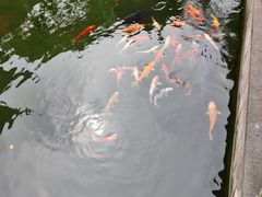 -胡雪岩故居