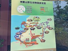 -西霞口神雕山野生动物世界