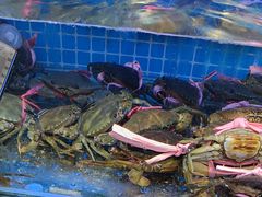 -前王院•巧克力海鲜市集餐厅(万平口店)