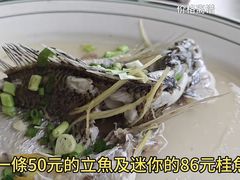 -八仔大富楼·河鲜(西江店)