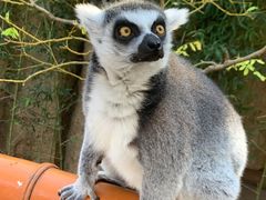 -北京野生动物园