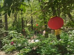 -云丘山景区