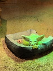 -酷嗒动物文化乐园(cutezoo西溪乐天城店)