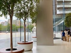 -Apple零售店(苏州店)