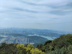 -梧桐山风景名胜区