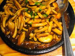 鲍汁煮杂菌-汤城小厨•粤菜•靓汤(金宝街店)