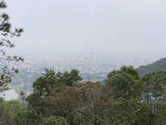 -风云岭森林公园