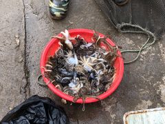 -仙浴湾广场