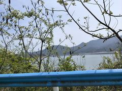 -酒仙湖景区