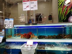 水产区-盒马鲜生(红莲店)