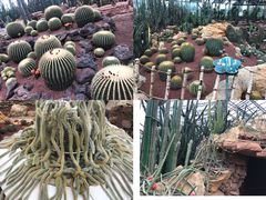 -南通洲际绿博园