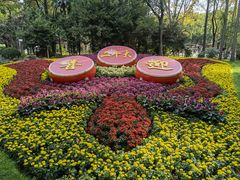 -上海共青森林公园